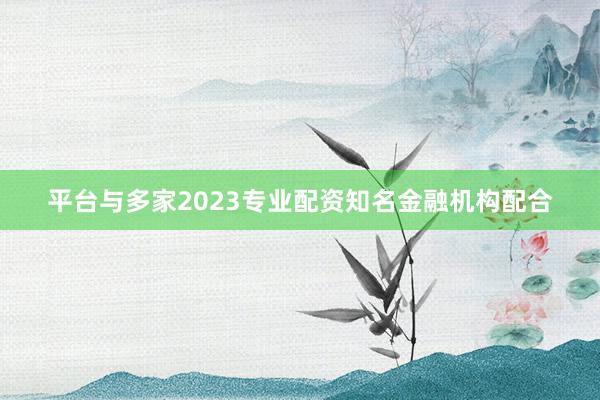 平台与多家2023专业配资知名金融机构配合
