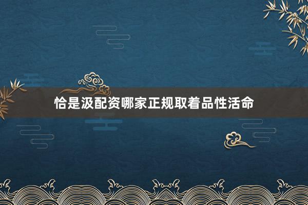 恰是汲配资哪家正规取着品性活命