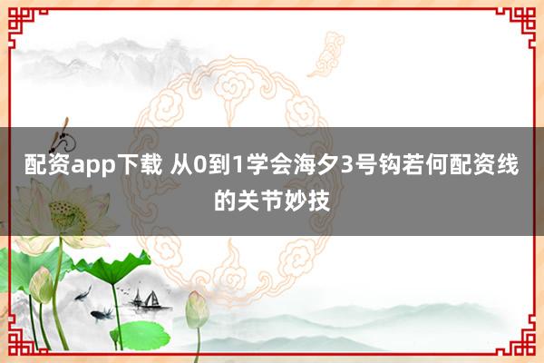 配资app下载 从0到1学会海夕3号钩若何配资线的关节妙技