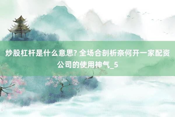炒股杠杆是什么意思? 全场合剖析奈何开一家配资公司的使用神气_5